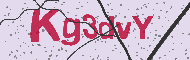 Güvenlik Kodu