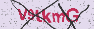 Güvenlik Kodu