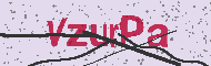 Güvenlik Kodu
